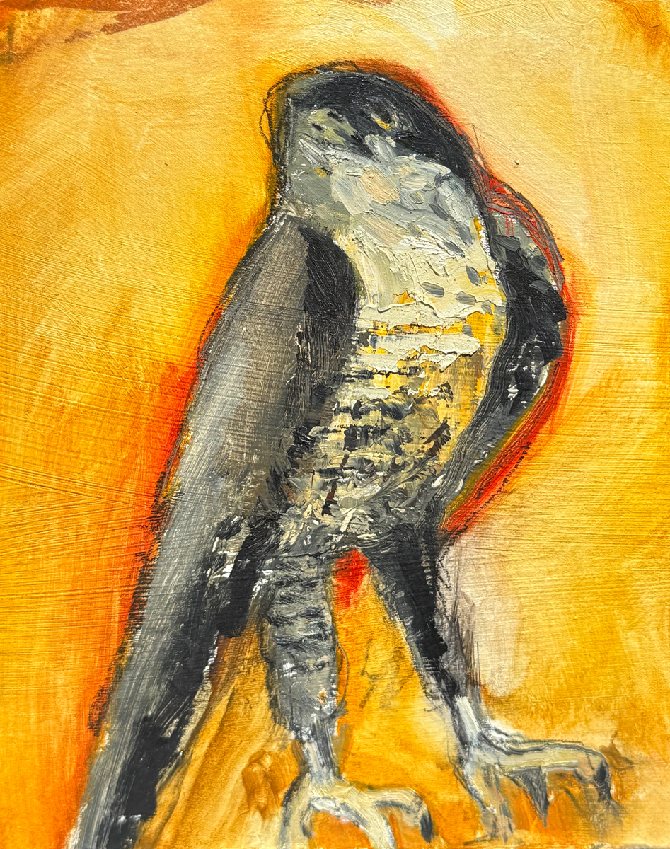 SOLD Hawk Artwork by Bob Schlegel, Dana Gallery Artist