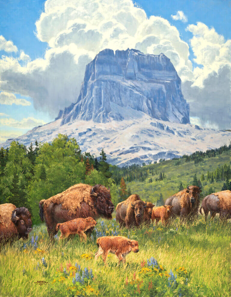 Painting by John Potter, Dana Gallery Featured Artist