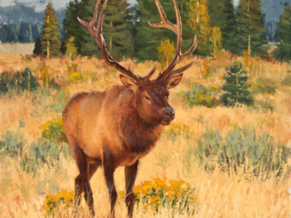 Painting by John Potter, Dana Gallery Artist