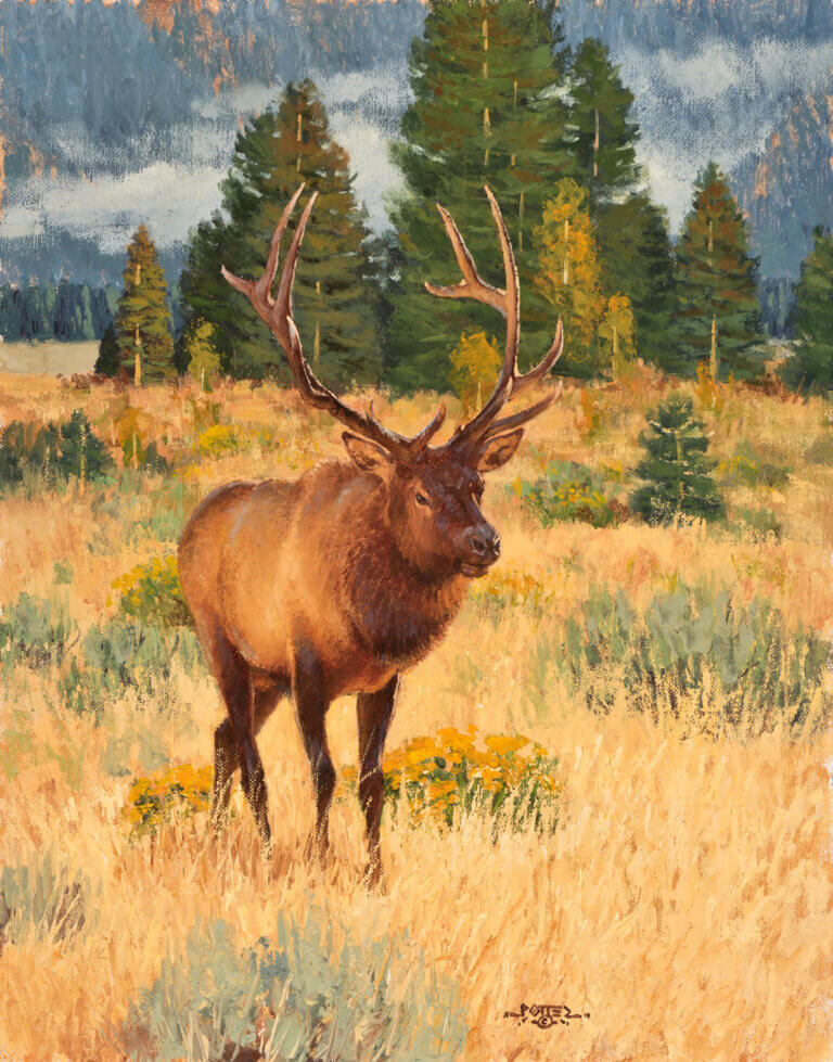 Painting by John Potter, Dana Gallery Featured Artist