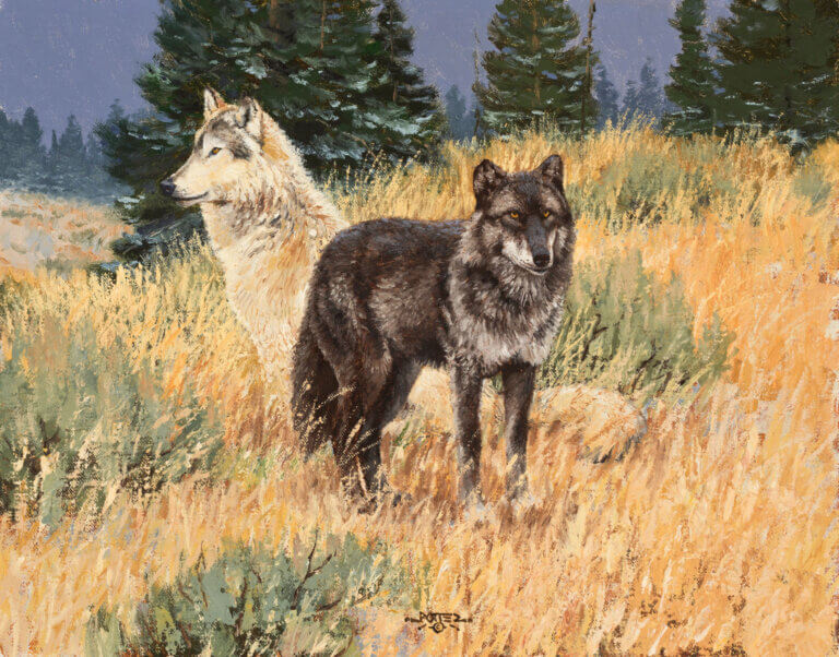 Painting by John Potter, Dana Gallery Featured Artist