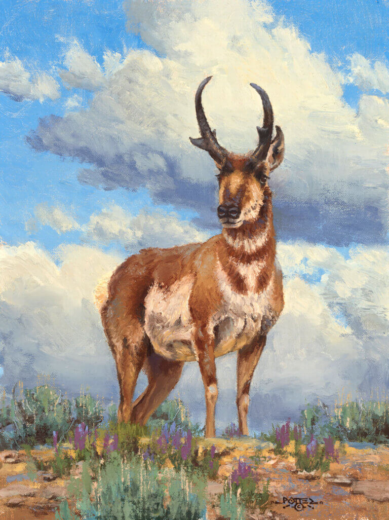 Painting by John Potter, Dana Gallery Featured Artist