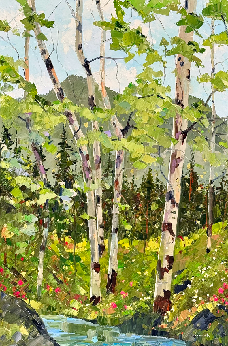 Council Grove Aspen