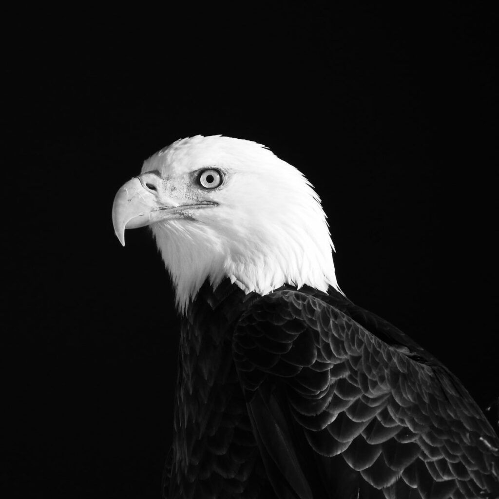 Photograph by Matt O'Connor, Dana Gallery Artist