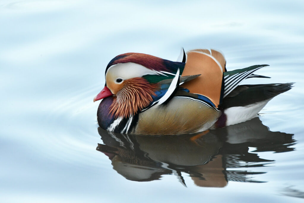 Photograph by Matt O'Connor, Dana Gallery Artist