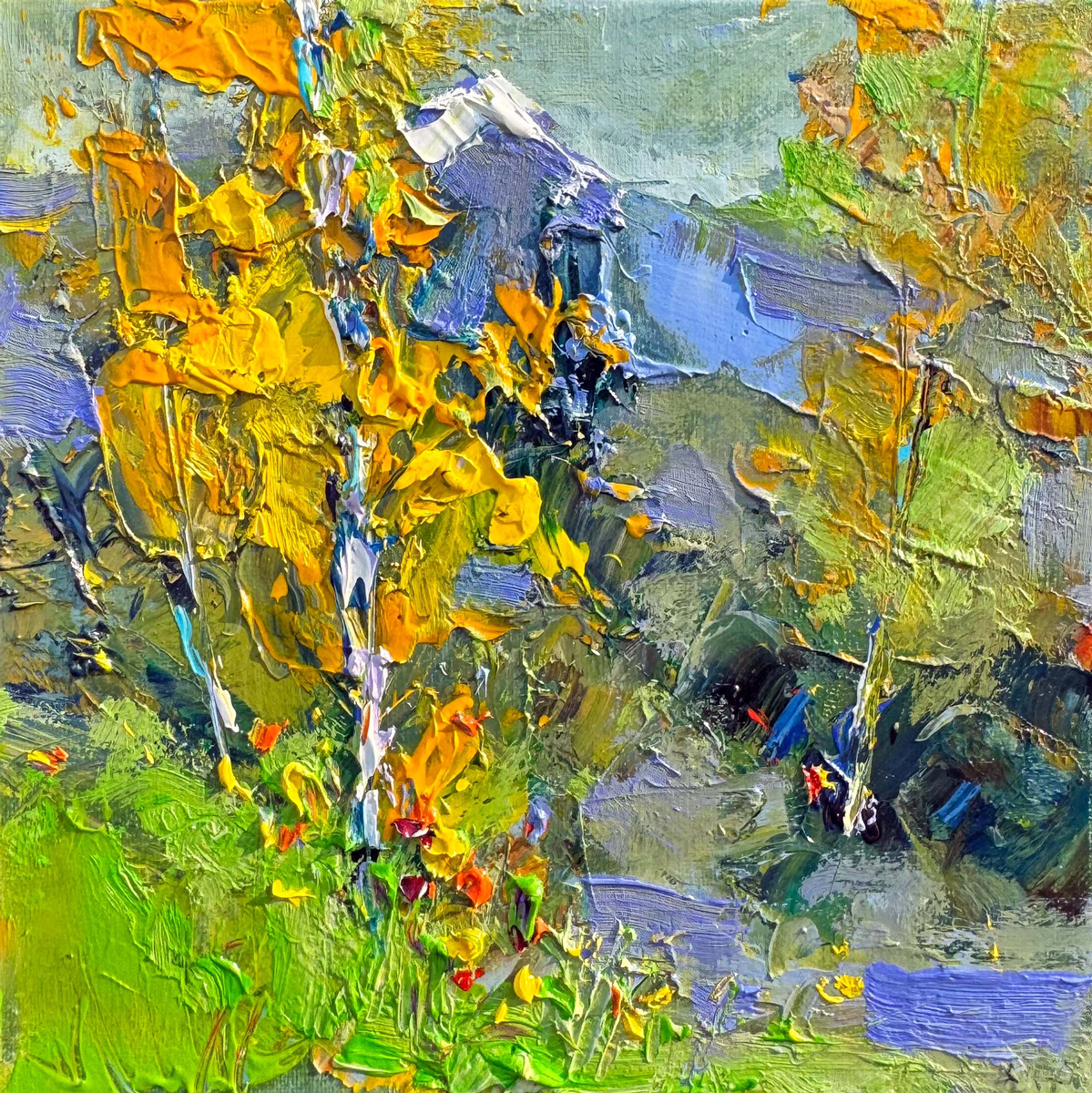 Aspens in the Mission Mountains