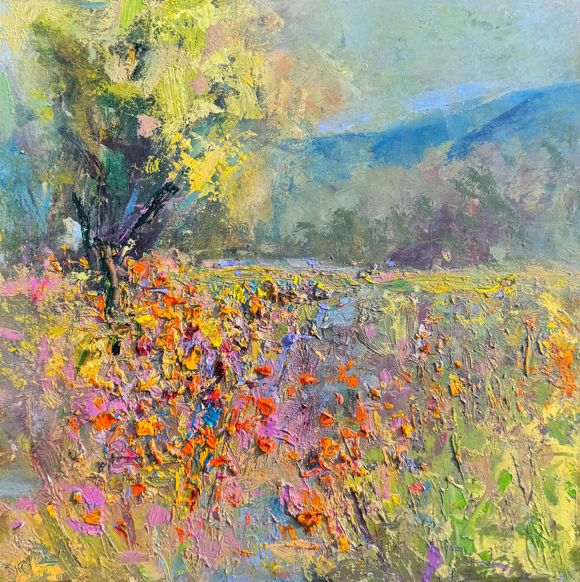 Flathead Field of Flowers