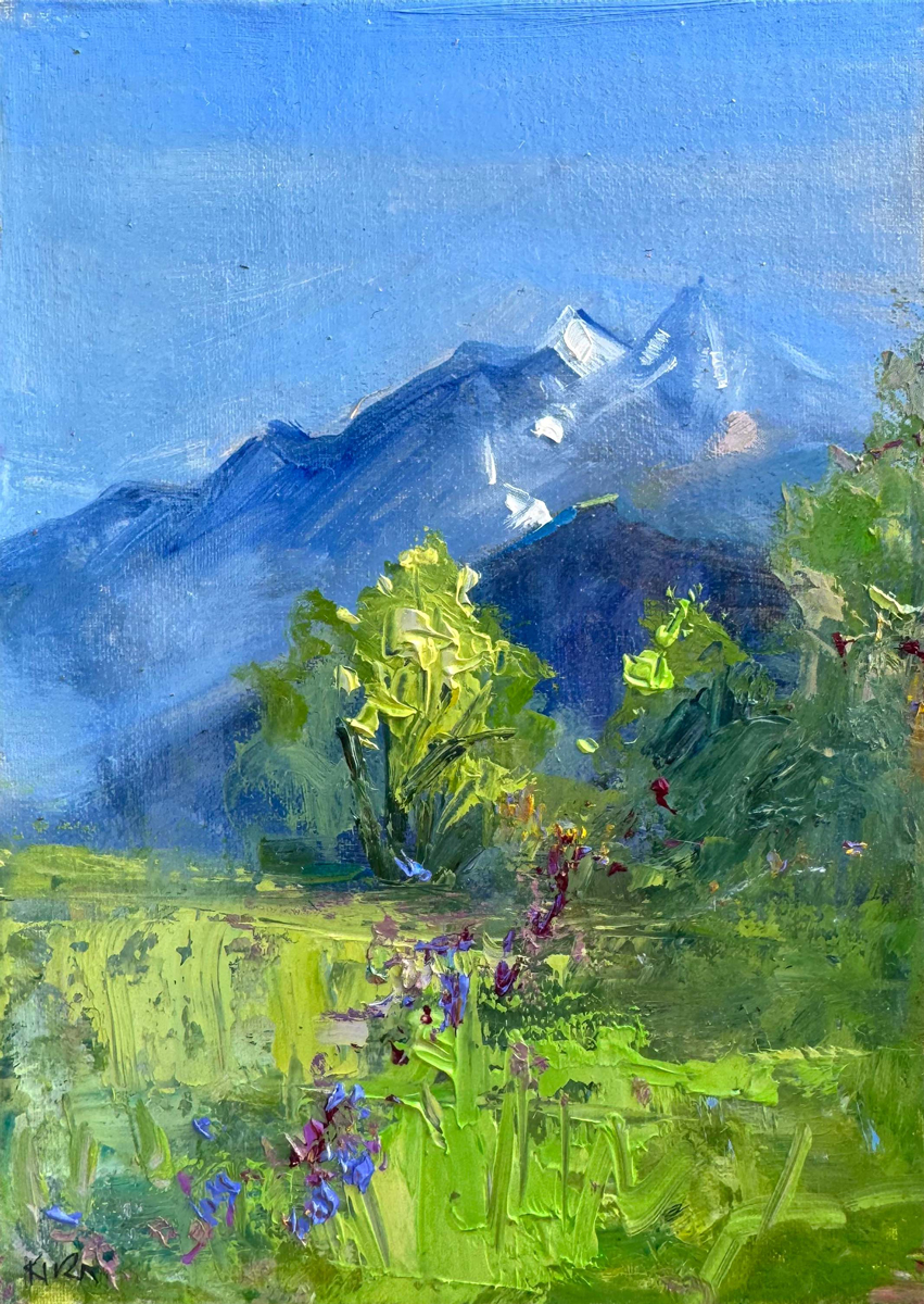 Wildflowers in the Missions