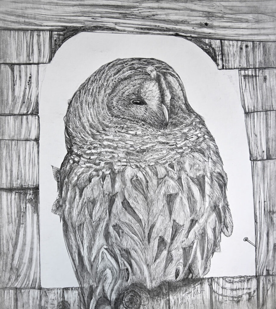 Drawing by Matt O'Connor, Dana Gallery Artist