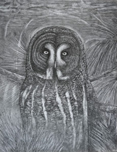 Drawing by Matt O'Connor, Dana Gallery Artist