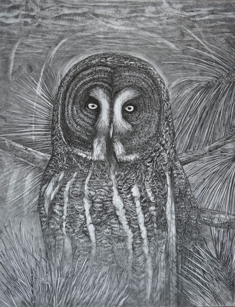 Drawing by Matt O'Connor, Dana Gallery Artist