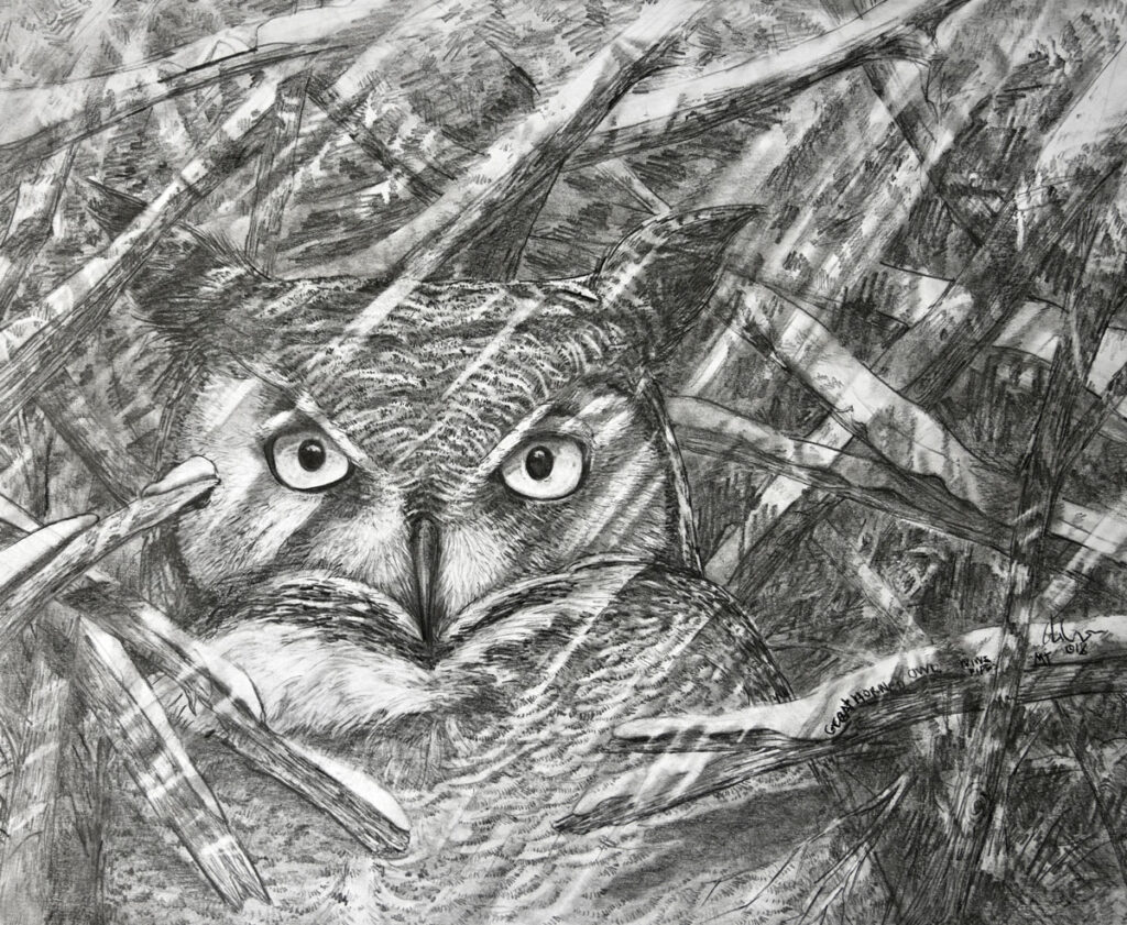 Drawing by Matt O'Connor, Dana Gallery Artist