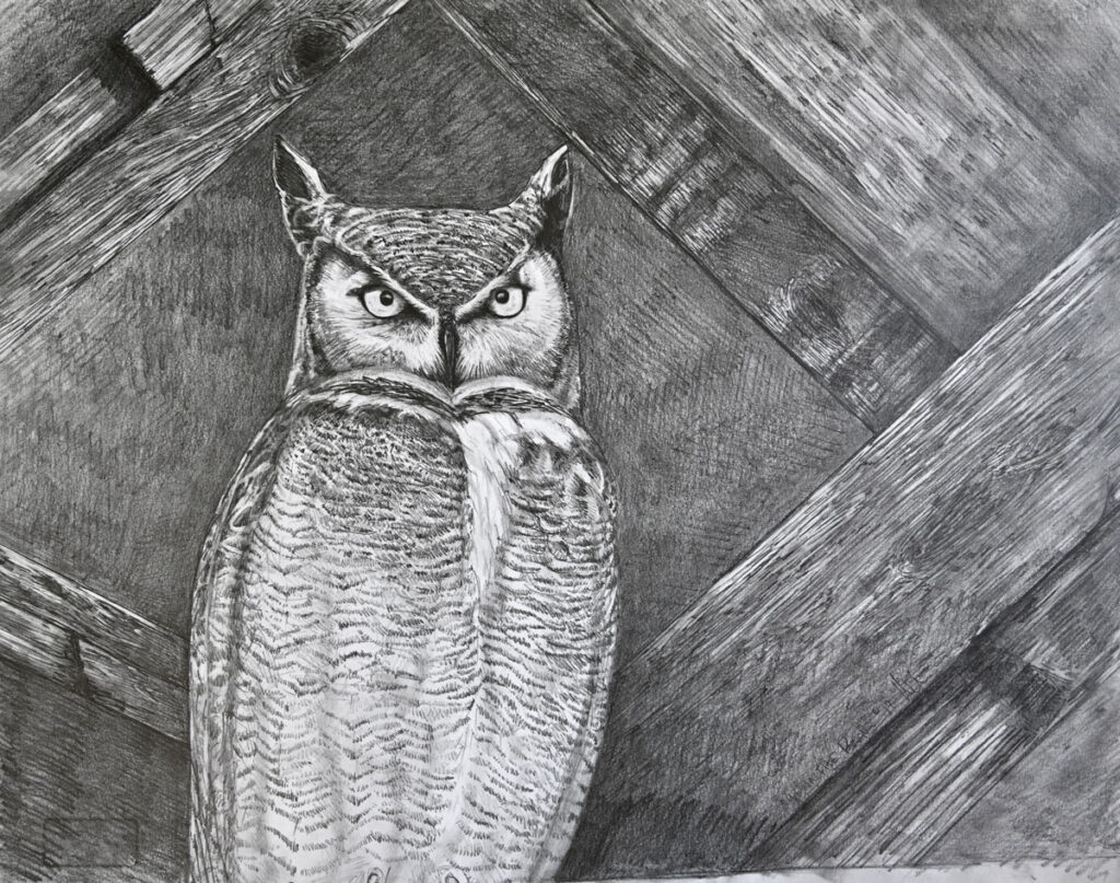 Drawing by Matt O'Connor, Dana Gallery Artist