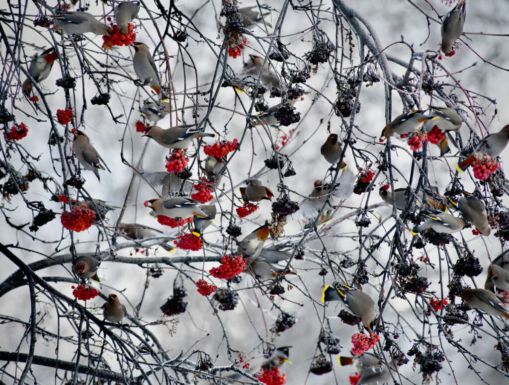 Painting by Matt O'Connor, Dana Gallery Artist