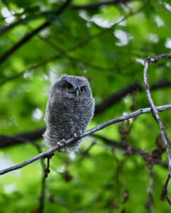 Photograph by Matt O'Connor, Dana Gallery Artist