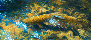 Painting by Michael Maydak, Dana Gallery Artist