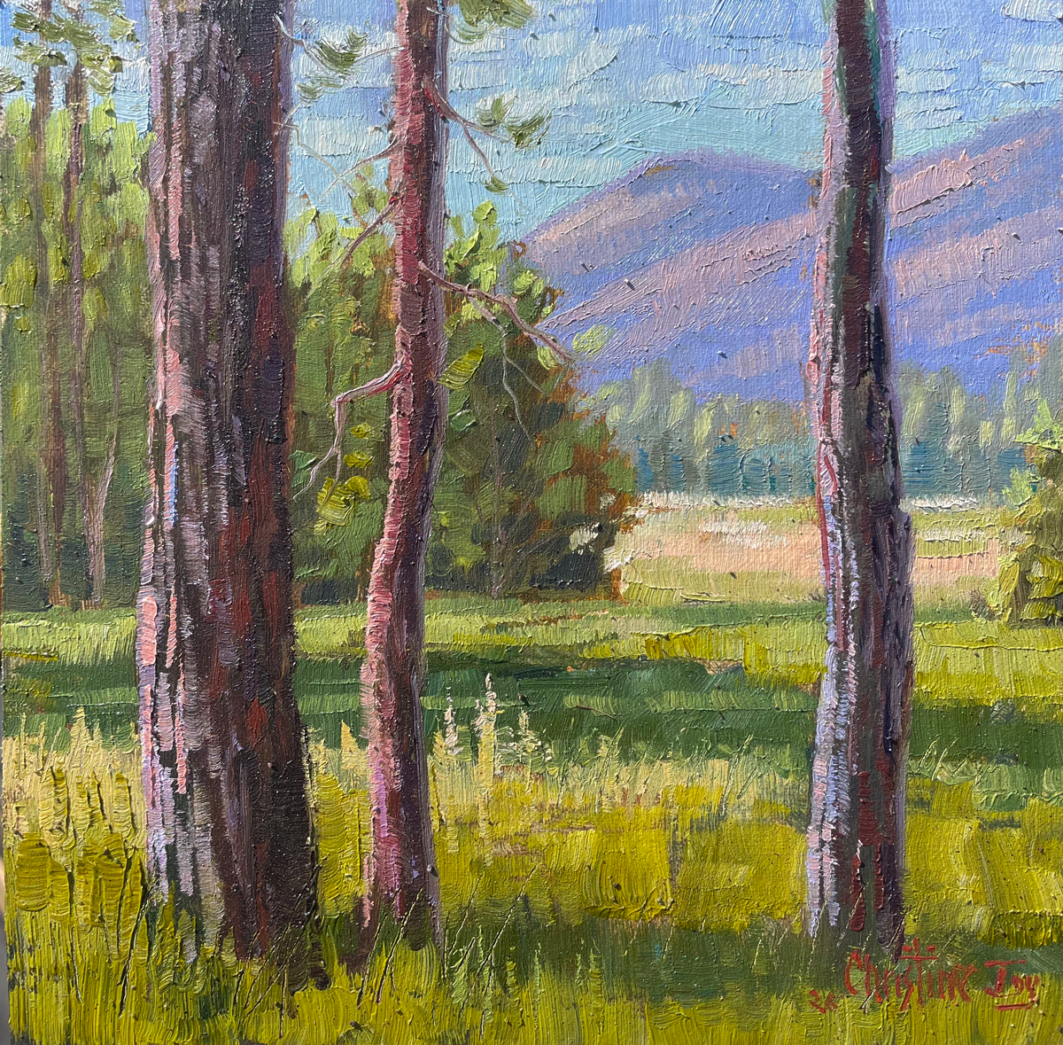 In the Shadow of the Pines