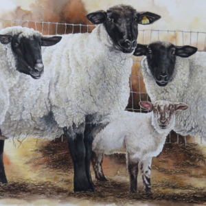 Painting for WaterMedia 2024, A national juried show hosted by Montana Watercolor Society at Dana Gallery