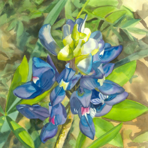 Painting for WaterMedia 2024, A national juried show hosted by Montana Watercolor Society at Dana Gallery