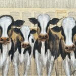 Deep Into Cattle Land