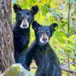 Garth Williams Artist Painting Dana Gallery