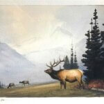 Jeff Walker Artist Painting Dana Gallery