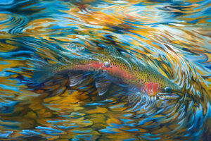 Painting by Michael Maydak at Dana Gallery