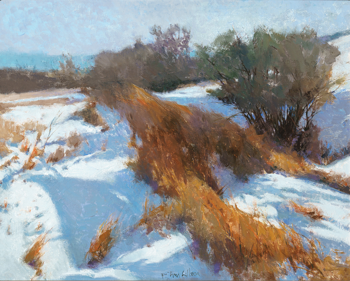 Oil Painting by Tom Gilleon, Exhibiting at Dana Gallery June 2025