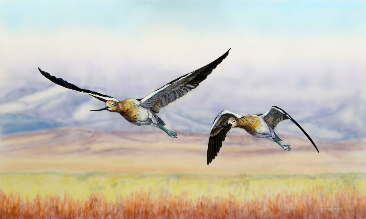 Polychromatic Engraving by Ron Ukrainetz, Montana Artist showing Original Artwork for Sale at Dana Gallery in Missoula, Montana