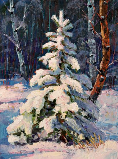 Snowy Pine