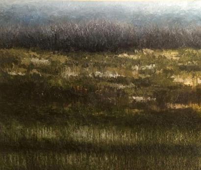 Marshy Grasslands