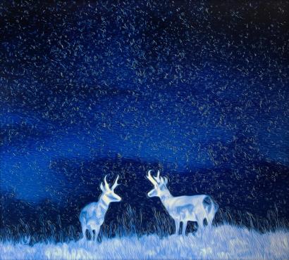 Antelope Midst