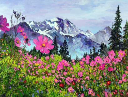 Summer in the Rockies