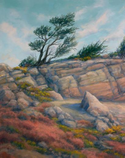 Wind Swept Ridge