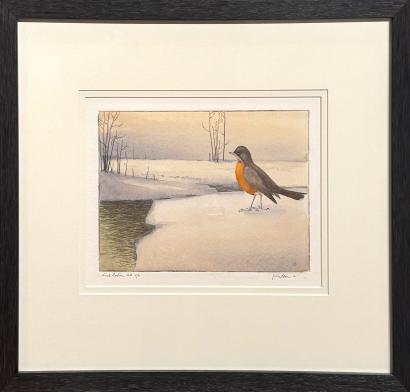 First Robin