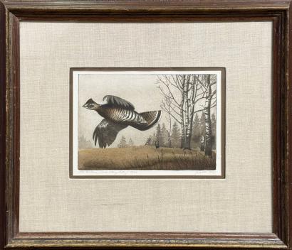Montana Bird Stamp Entry 49/50