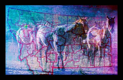 Montana Herd