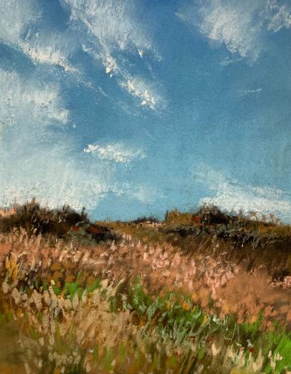 Down in the Dunes