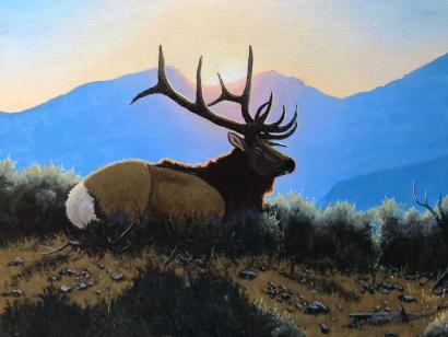 King of the Hill