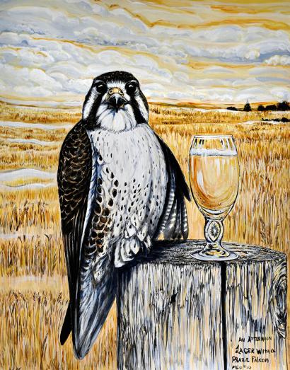 Afternoon Lager with a Prairie Falcon