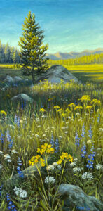 Montana Wildflowers
