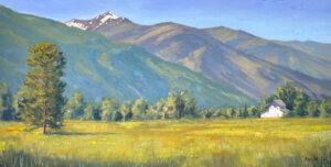 Bitterroot Valley Meadow