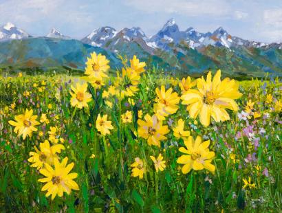 Rocky Mountain Sunflowers