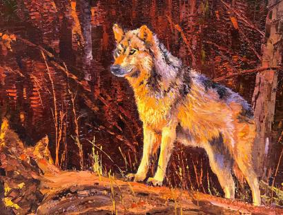 Timber Wolf