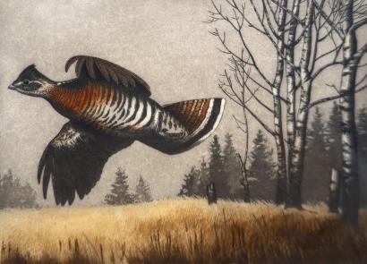 Montana Bird Stamp Entry