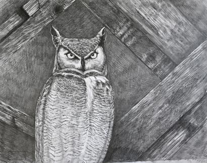 Owl in the Barn