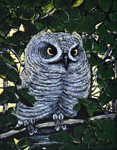 WS Owlet