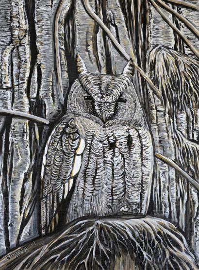 Western Screech Owl