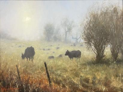 Foggy Morning