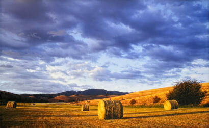 Hanson Ranch
